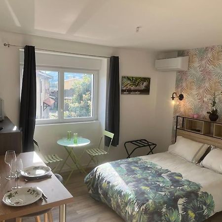 Verdi Studio Cosy Au Calme Parking Gratuit Шас-сюр-Рон Экстерьер фото